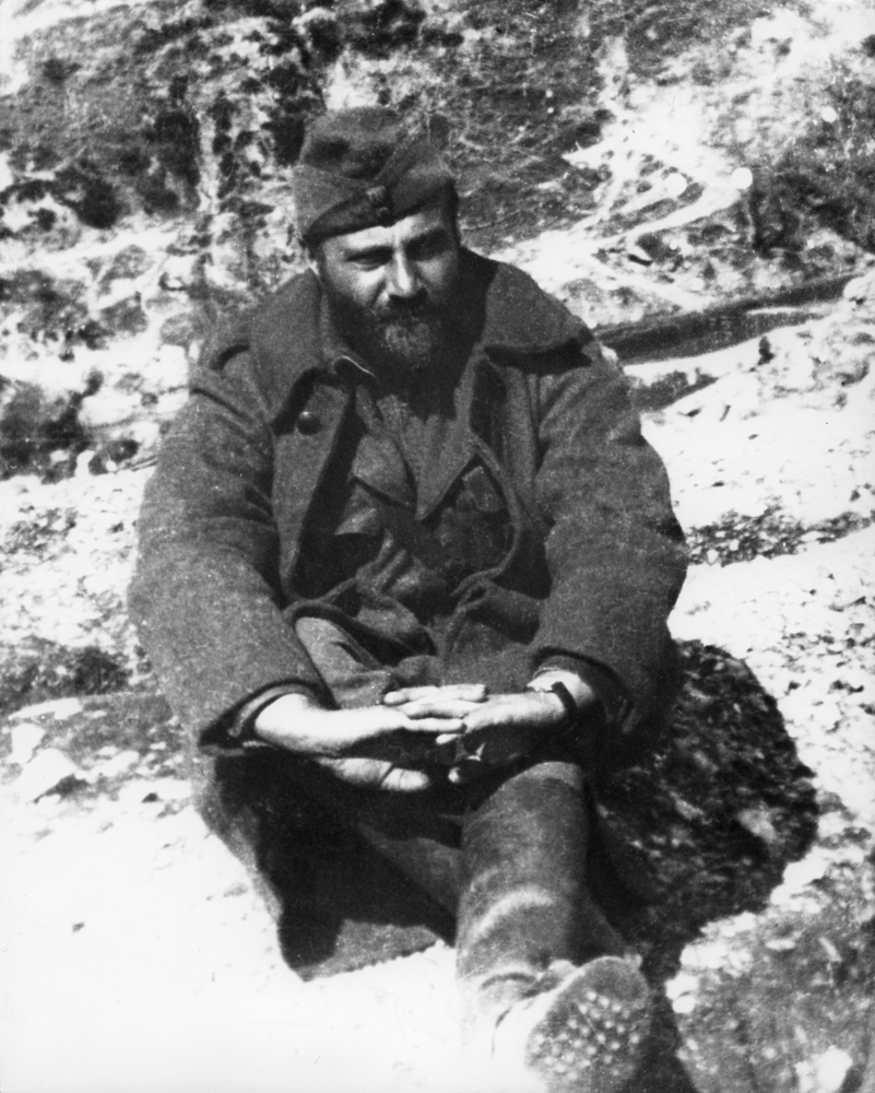 Αλβανικό μέτωπο, 1941
