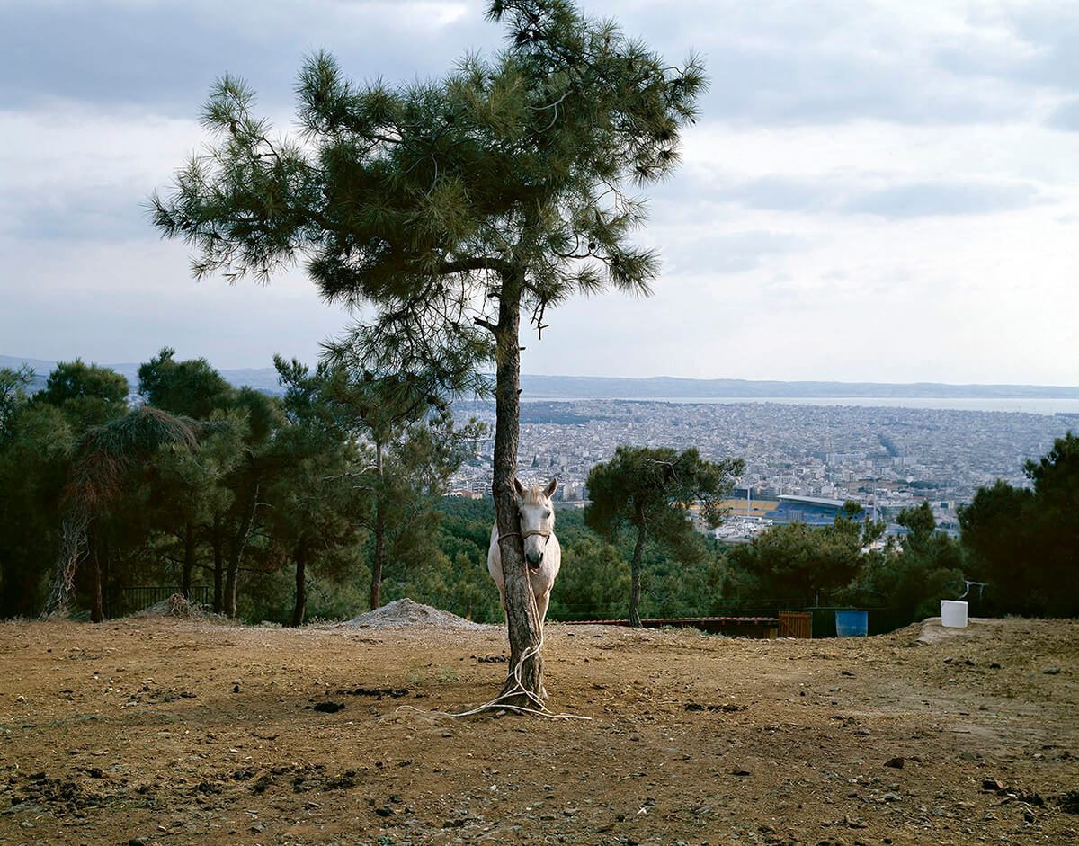 Πάρις Πετρίδης, Θεσσαλονίκη 2006 