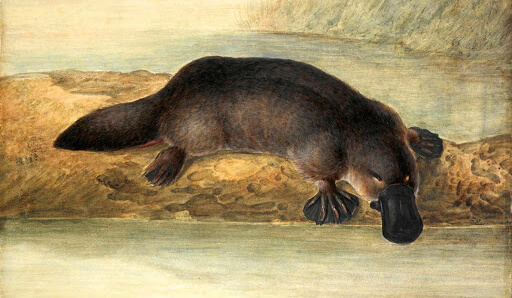 Χρήσιμες πληροφορίες