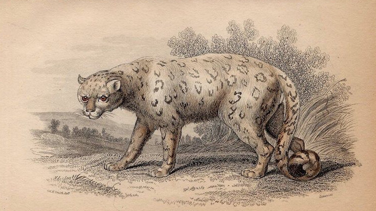 Χρήσιμες πληροφορίες