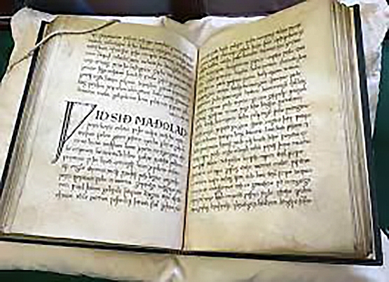 «The Exeter Book»