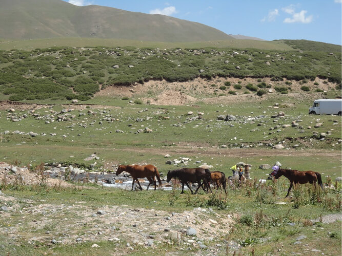 Κιργιστάν, άλογα σε ορεινό λιβάδι (jailoo) για ξεκαλοκαίριασμα <small>/ φωτ. <a href='https://www.hartismag.gr/stella-doyka' class='color-link'>Στέλλα Δούκα <i class='fal fa-link'></i></small></a>