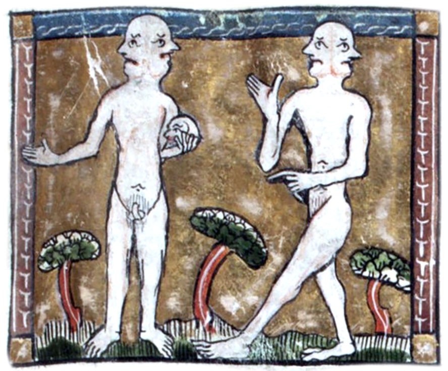 Διπρόσωπη Ανάγνωση