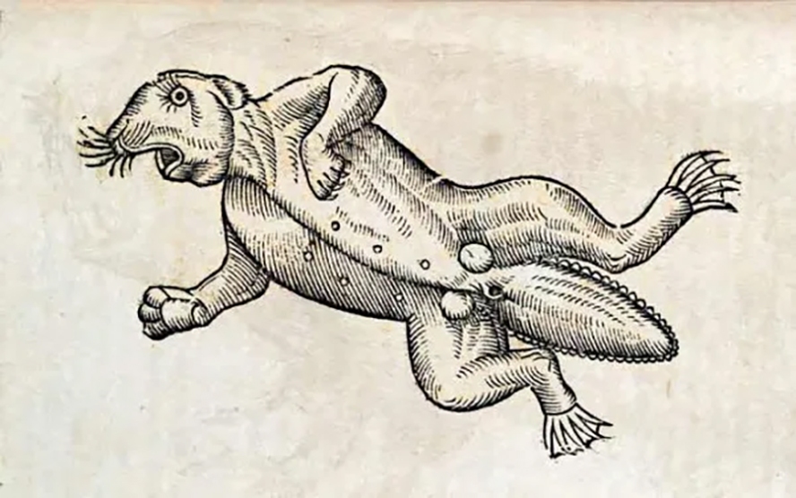 Ουρλιαχτά από το απομονωτήριο της ύπαρξης