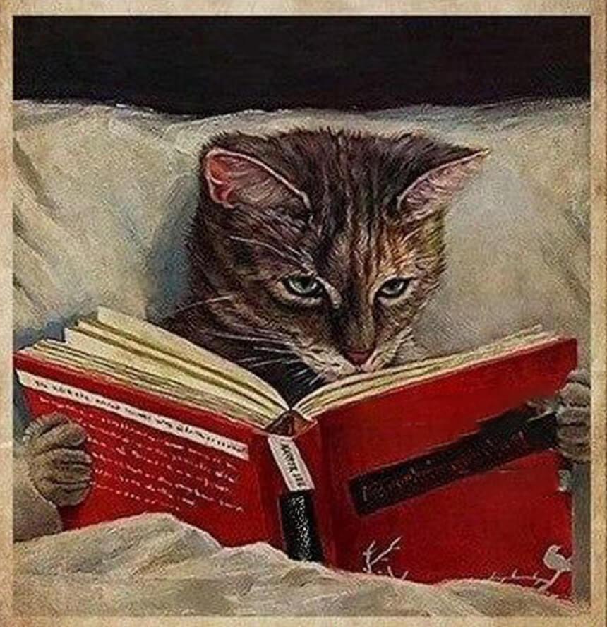 Λούση