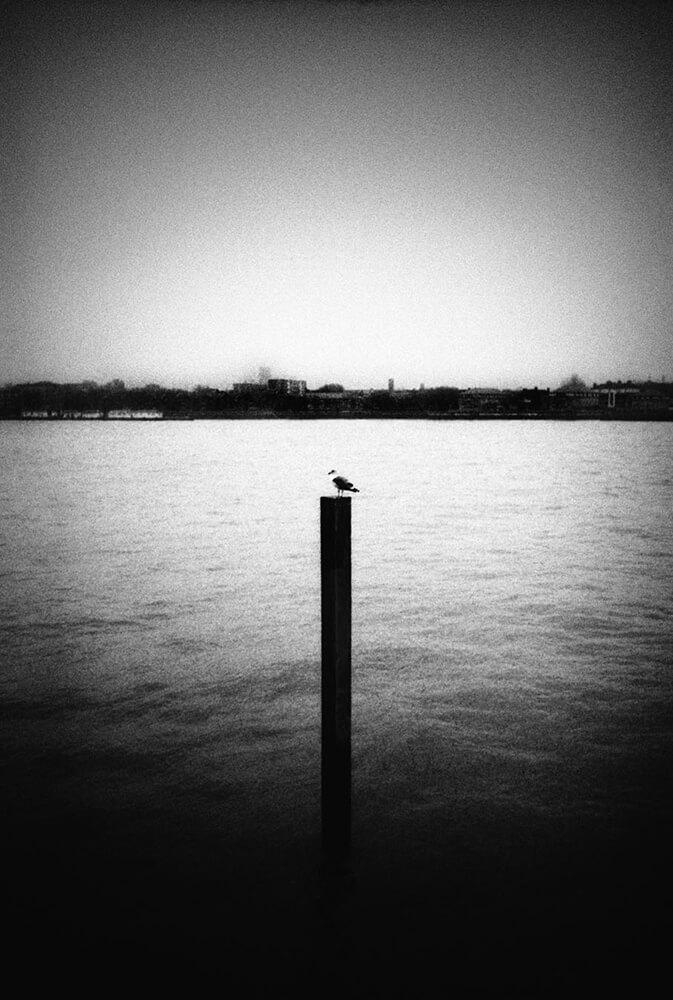 Φωτογραφίες του Κ. Μαρκογιάννη 