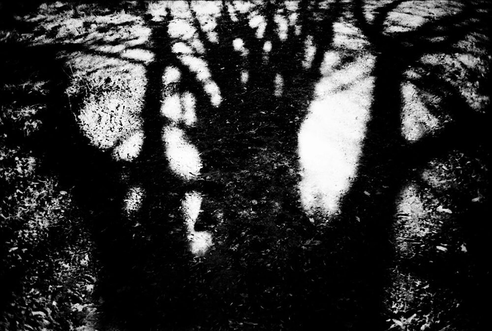 Φωτογραφίες του Κ. Μαρκογιάννη 