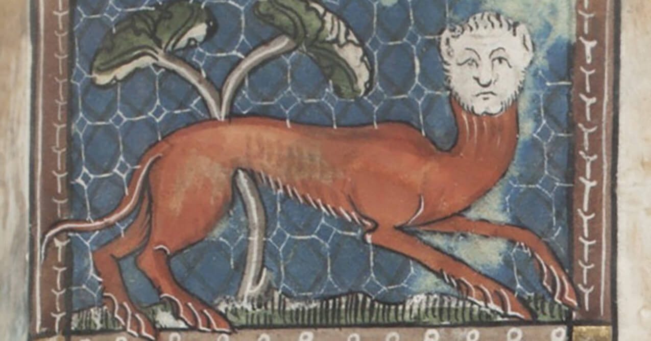 Μικρές φόρμες