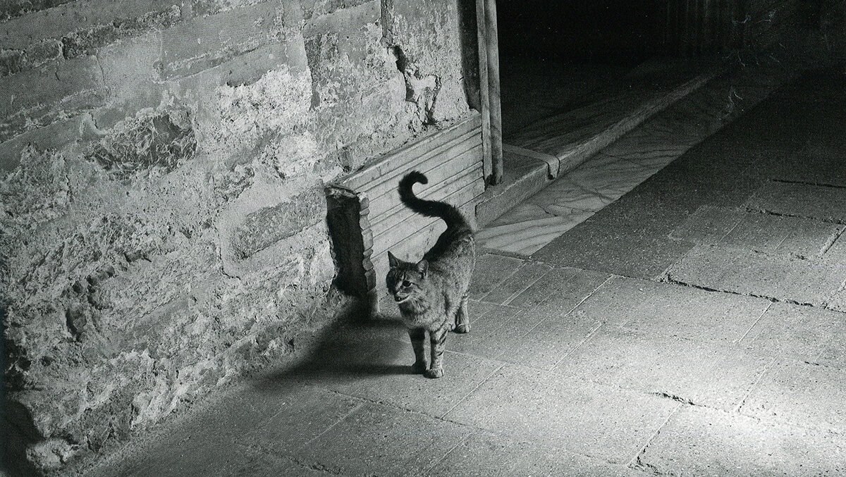 Φωτ. Νάσος Ευσταθιάδης (2010)