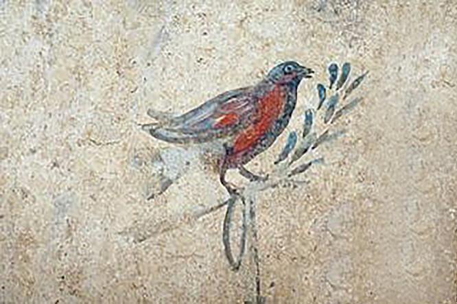 Τέταρτη γενιά