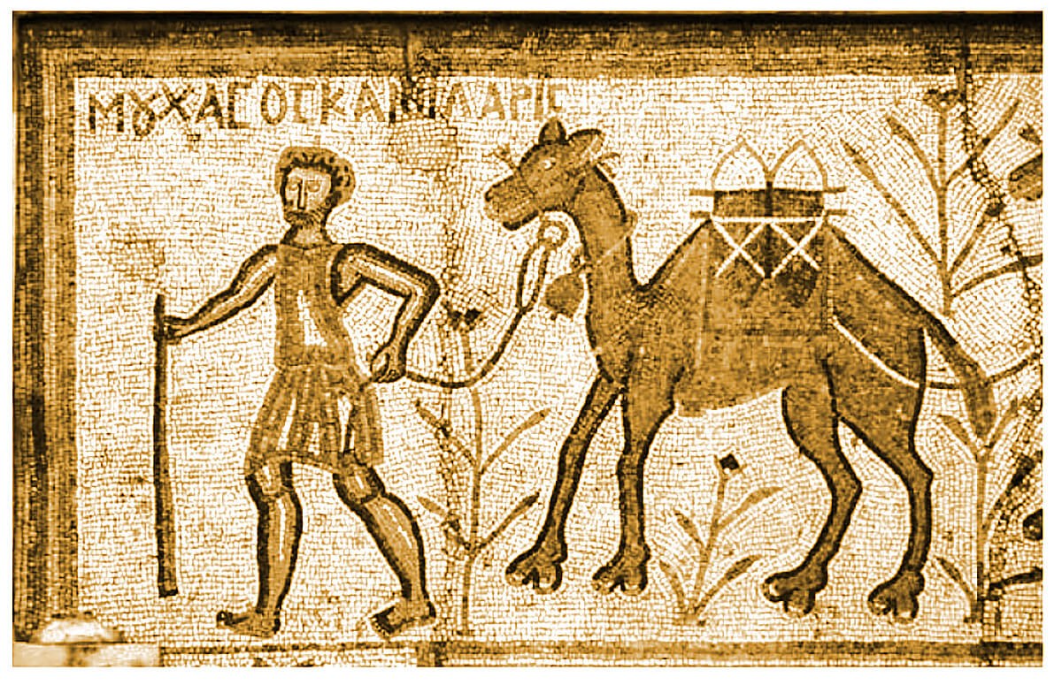 Μούχασος, ο καμηλιέρης