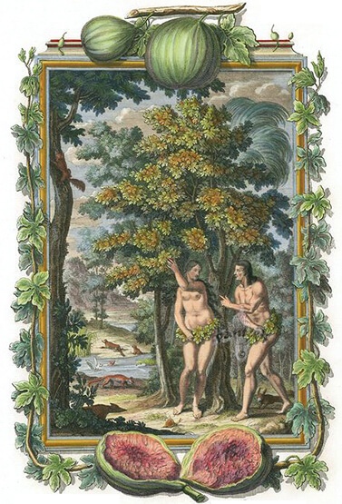 Scheuchzer: Αδάμ και Εύα («Physica Sacra Ficus Folium Nuditatis»)