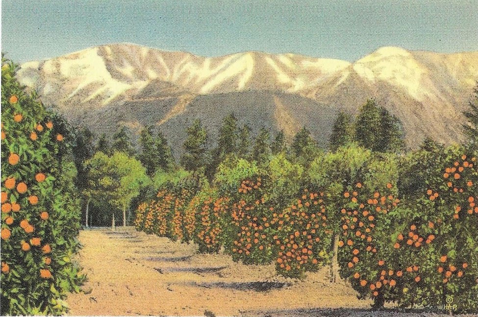 Καλιφόρνια με πορτοκαλεώνες και χιονοσκεπή βουνά: Πλησιάζοντας στο τέλος (ή στην αρχή) του μεγάλου οδικού άξονα. 