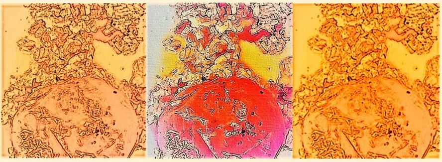 «Πλήθωνος κάτοψις» 2023, Ρ-ΔΜπ & ΚΓΜ 2023