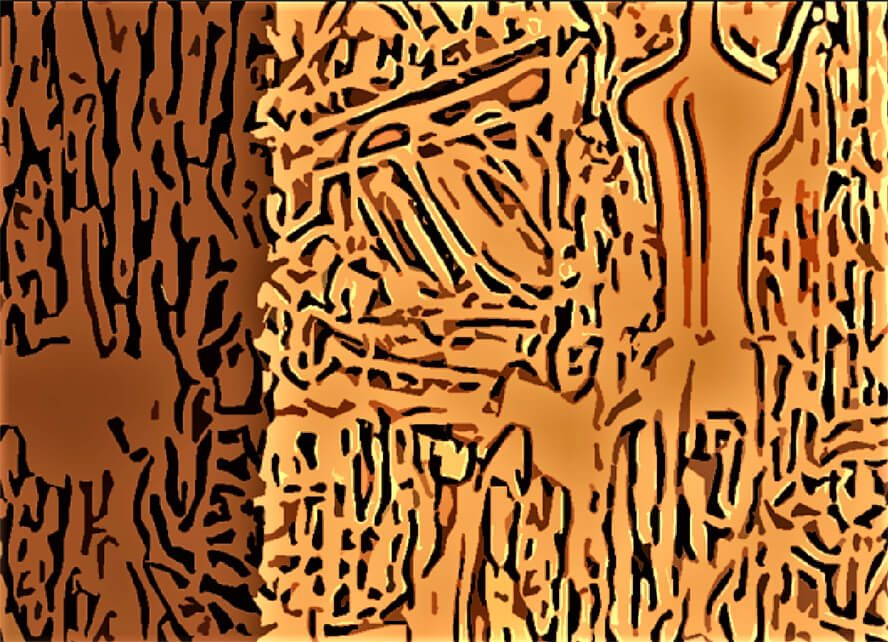 «Αδρά η Ωχρώμη στον Μποννάρ με αντηλιά», ΚΓΜ & ΕΡ 2023