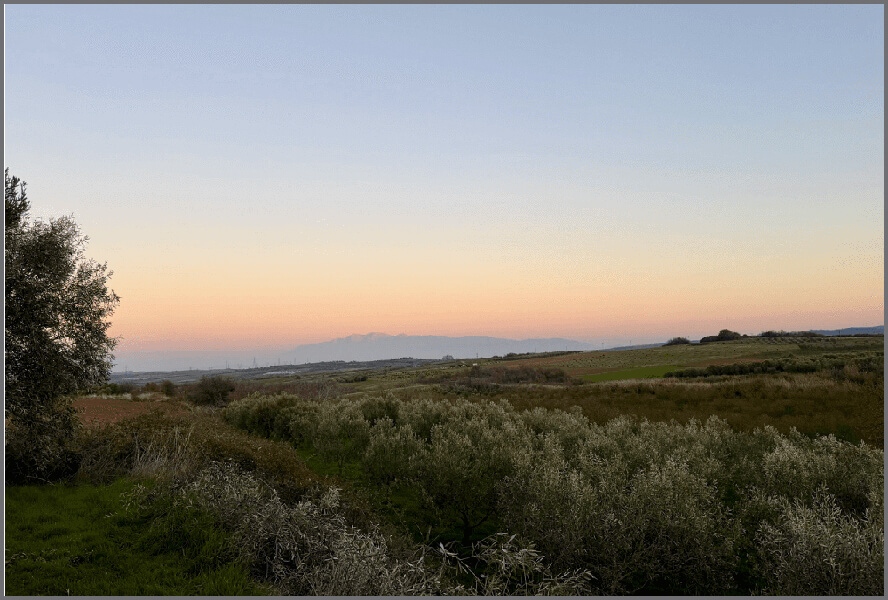Πράα αμεσότητα