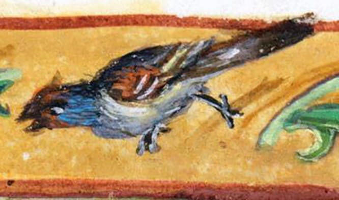 Ρωμαϊκή τοιχογραφία