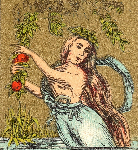 Τα νησιά, IV