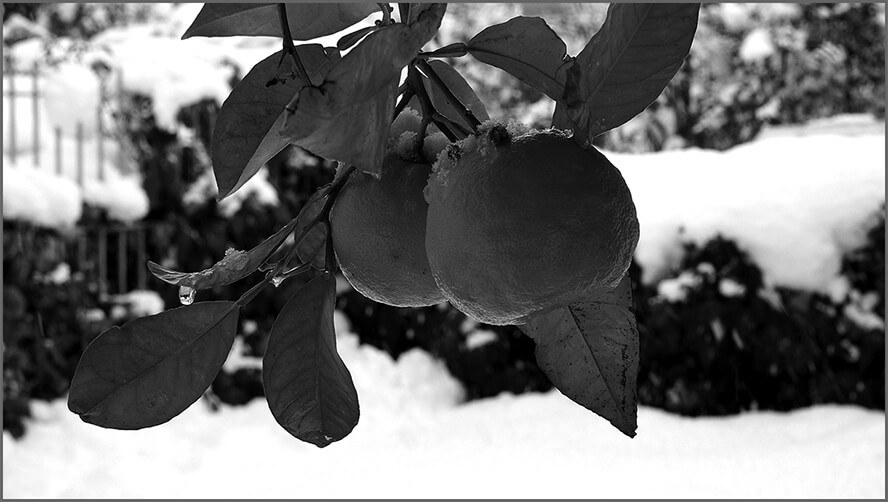 Δύο ποιήματα