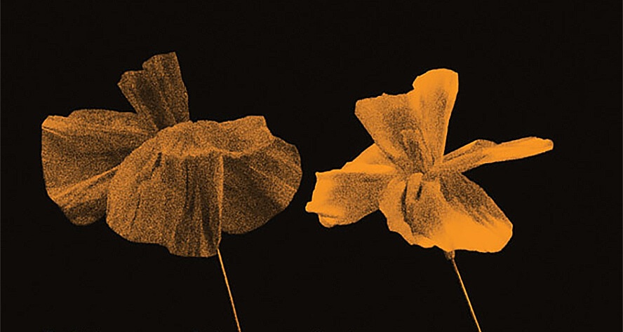 Σε αναζήτηση νέας μορφής γνώσης