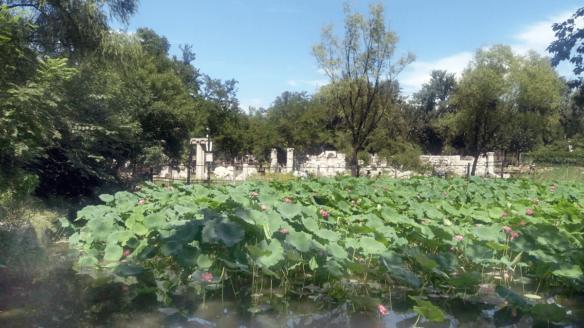 Τα Παλαιά Θερινά Ανάκτορα: Τα ‘Ελγίνεια’ του Πεκίνου