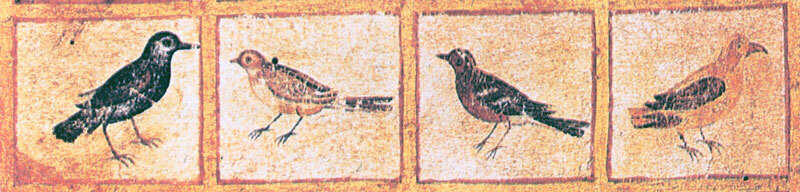 De materia medica