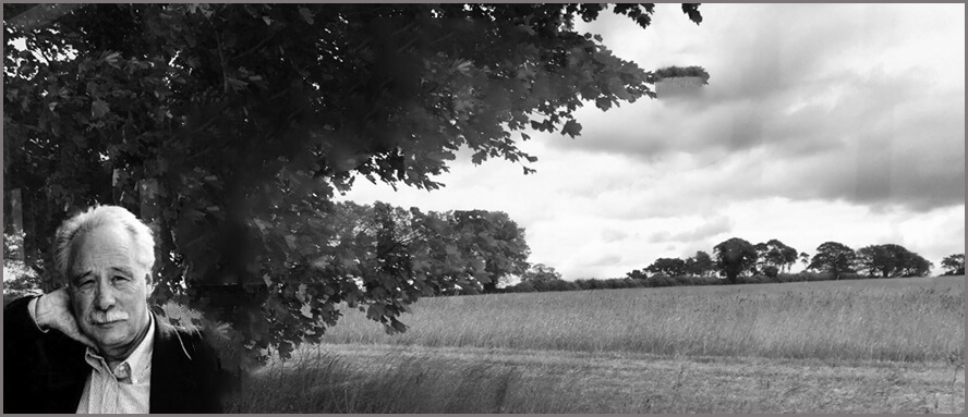 The Sebald collage